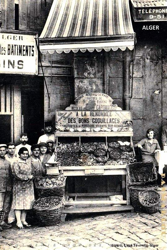 Alger - Coquillages Maison Capomaccio.jpg